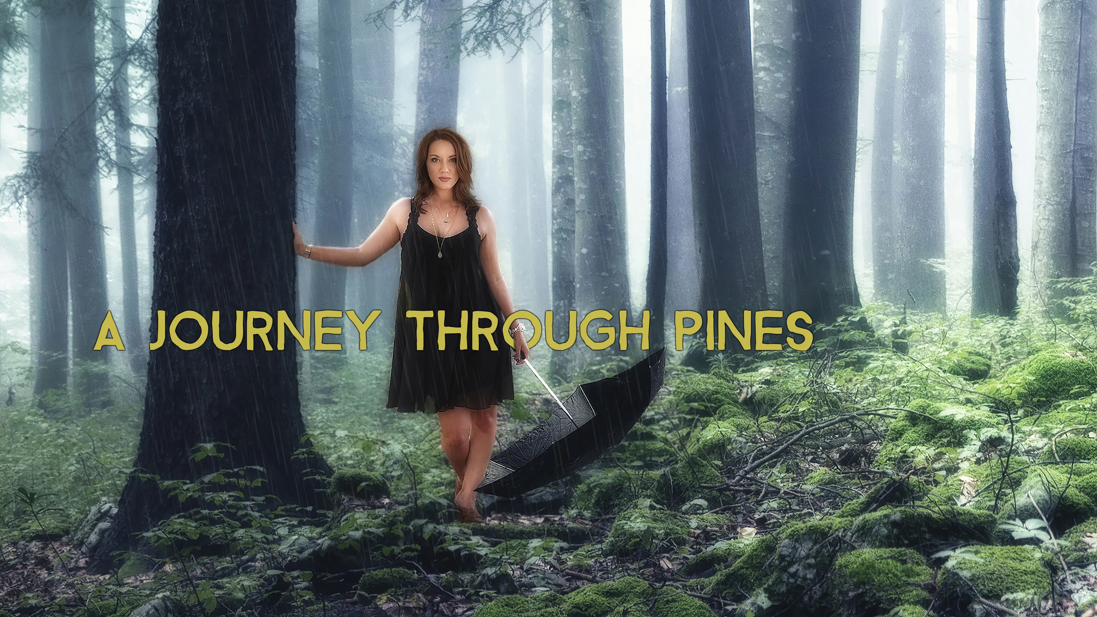 A Journey Through Pines poster